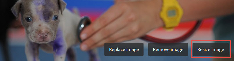 Banner resize button